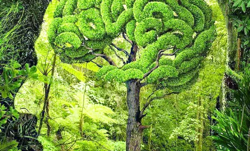 Conexión Invisible: La Evidencia de la Influencia Mental en el Reino Vegetal