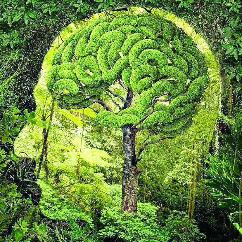Conexión Invisible: La Evidencia de la Influencia Mental en el Reino Vegetal