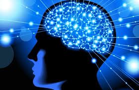 Interesantes experimentos sobre la intención